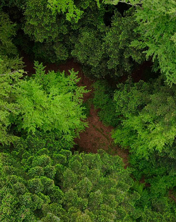 Production audiovisuelle avec captation aérienne et terrestre